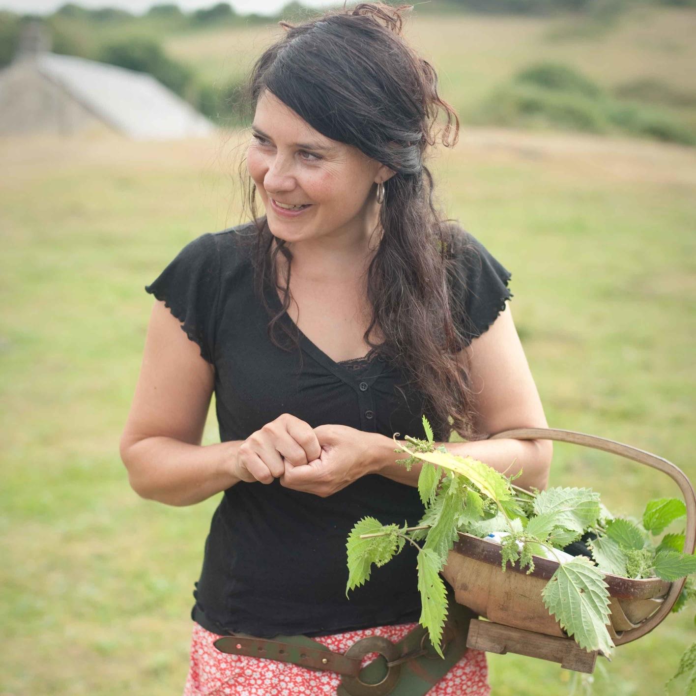 Picker of wild food & creator of foraged delights. Wild food walks & workshops. Woodland owner & nature lover. Wild West Wales