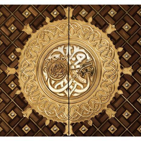 seriatigarra's profile picture. 