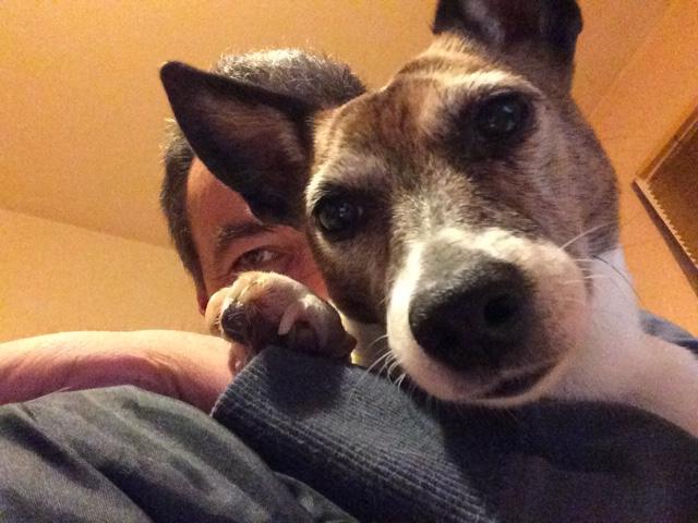 StefanBohl's profile picture. Ich bin nur wegen des warmen Gefühls hier. Gegen "Hass und Hetze" aus JEDER Ecke.

Geboren und aufgewachsen in der "sogenannten 'DDR'".