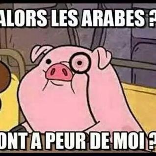 OptimalEmpireII's profile picture. 