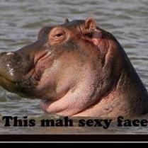 Komack24's profile picture. 