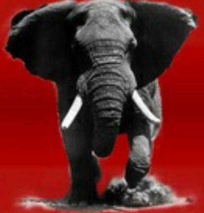 TreatPaine's profile picture. We are not average, we are The United States! Conservative