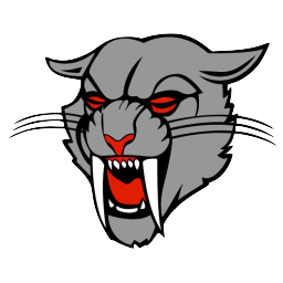 DRSBroadcast's profile picture. When the game is on the line, it's online