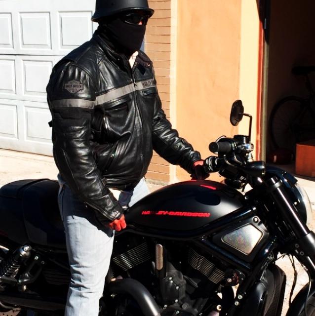 TriGrizzly's profile picture. Always decent. Usually.