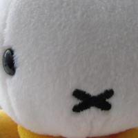 めりー＠道路賊は迷惑です (@stray_seep02) 's Twitter Profile Photo