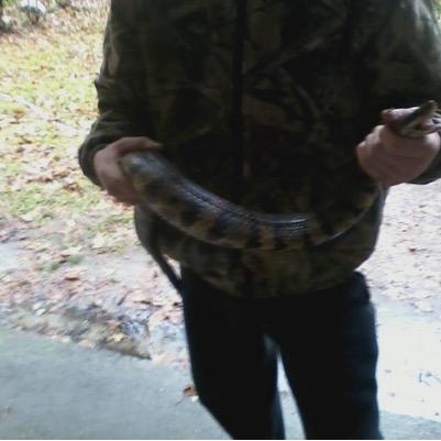 ew10000's profile picture. 