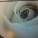 laverne holman - @6666turn - Twitter