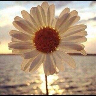 '..♡ علمت أن !- ما گتبه ربي هو الأفضل لي فأطمآنت نفسي فـ الحمد لله•~