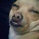 Sally stalker - @pizzaizz4lyf - Twitter