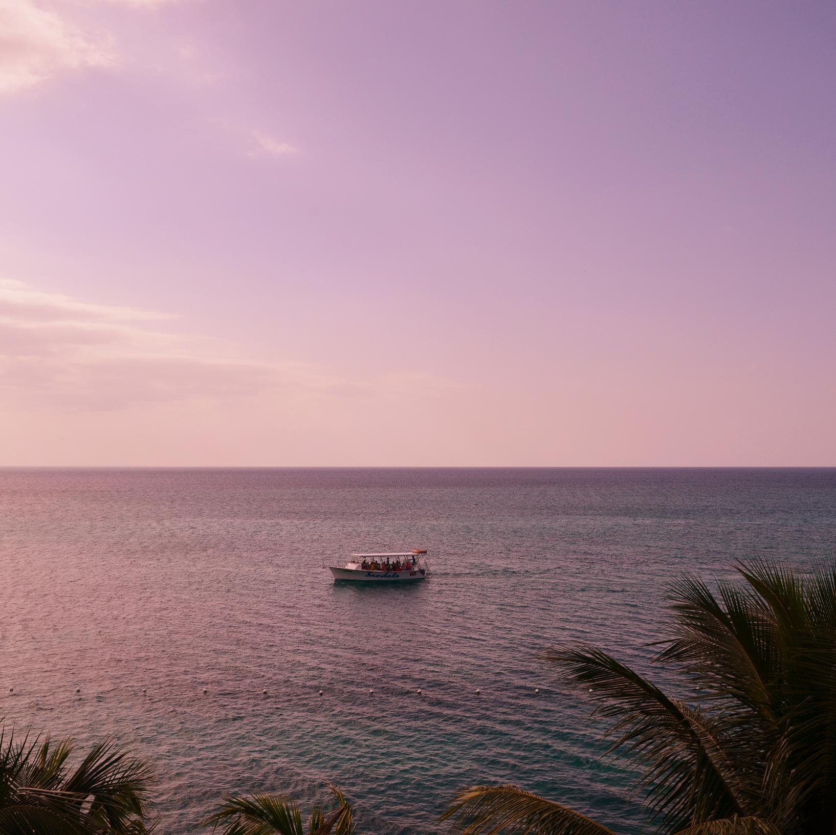 259Flavours's profile picture. Catering, Delivery & Take-Out - Caribbean Cuisine