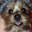 Carmen Vance - @carmen_vance - Twitter