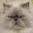 jamgrl88's profile image