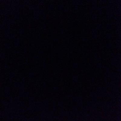 free follow from @alistwhitesides follow her!
