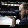 _CWPhotography's profile picture. @OHLsteelheads Official Photographer
since 2013
Freelance Sports  Photographer.  
IG - @_CWPhotos
@CWsportsMEM for custom framing