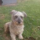 Celia Rivera - @celiaurora24 - Twitter