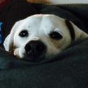 Jesse Boyd - @jessebyd - Twitter