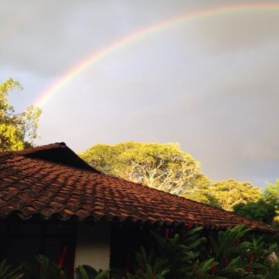 FernandoOsori12's profile picture. Jump walls , do not destroy them