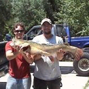 Fred Franks - @Fredexas - Twitter