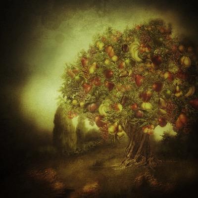 monique67's profile picture. 