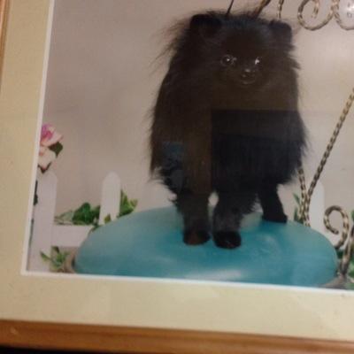 kizuna0916's profile picture. 