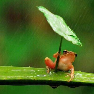 ErickRodrigoOA's profile picture. Make it count...