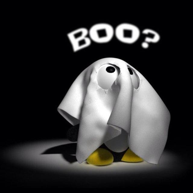 sofiafernaadez's profile picture. 