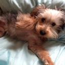 Brock Weiss - @Br0ck_Leigh - Twitter