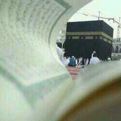 ‏‏علمتنيّ آلحيآة آن آحترمْ عقول آلبشرٌ ولكنَ لآإ آثق بهآ↓