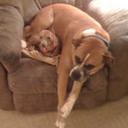 Greg Moon - @traveler282 - Twitter