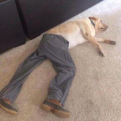 YaBoiGrandJury's profile picture. yeet