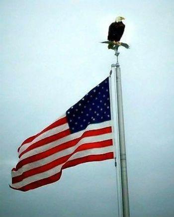 85Surefire's profile picture. 