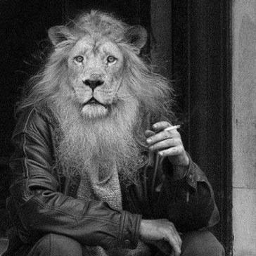 TheGeneration__'s profile picture. 