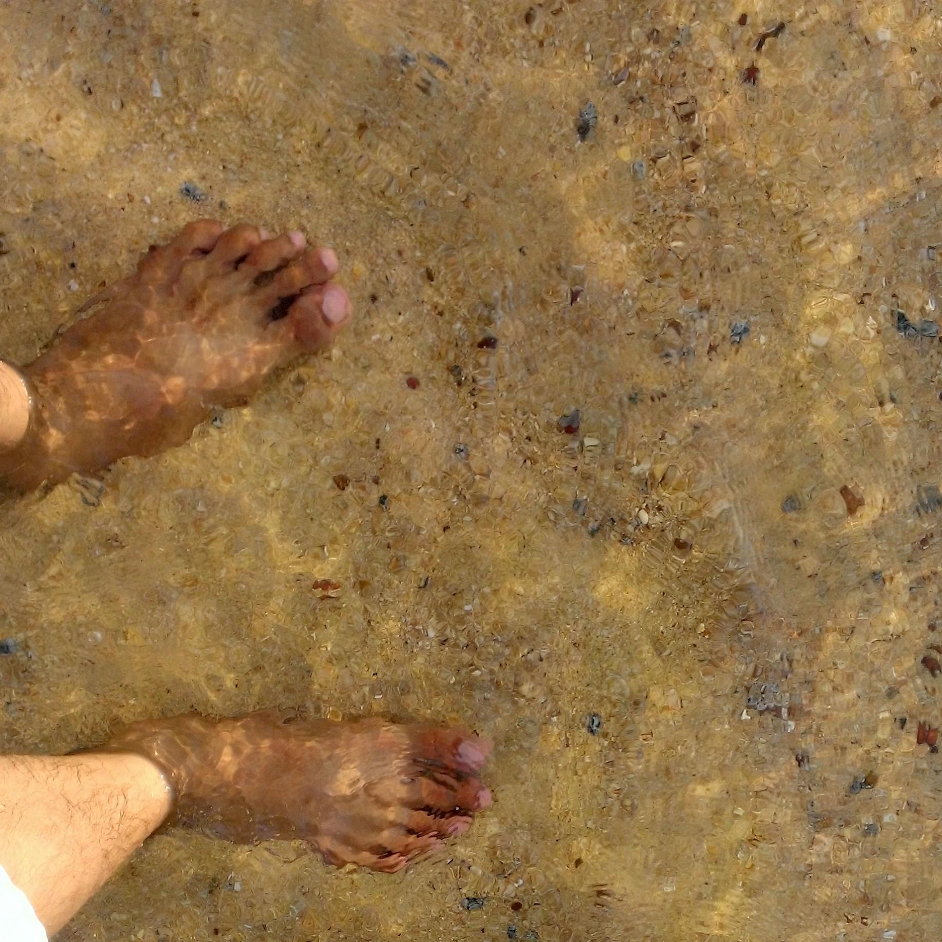 TVHV13's profile picture. 