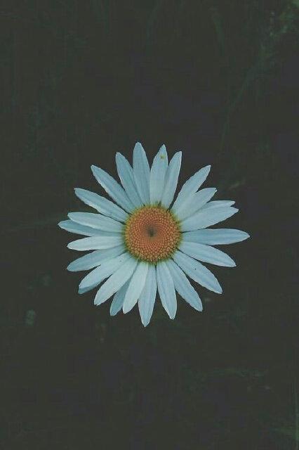 They Say Love Is Forever Your Forever Is All I Need Please Stay As Long As You Need♥.. - Sleeping With Sirens♥×