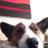 mike_woodbury's profile image