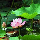 NoraMarcon's profile picture. 