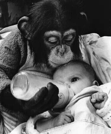 effatainsumos's profile picture. insumos medicos economicos