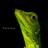 TerenceTermizi's profile image