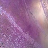 PaintingStyle's profile picture. Luxury Decorative Bespoke Italian Style Paints and Coatings from Italy follow us and stay ahead #InteriorDesign #Paints #Decorating #HomeImprovements