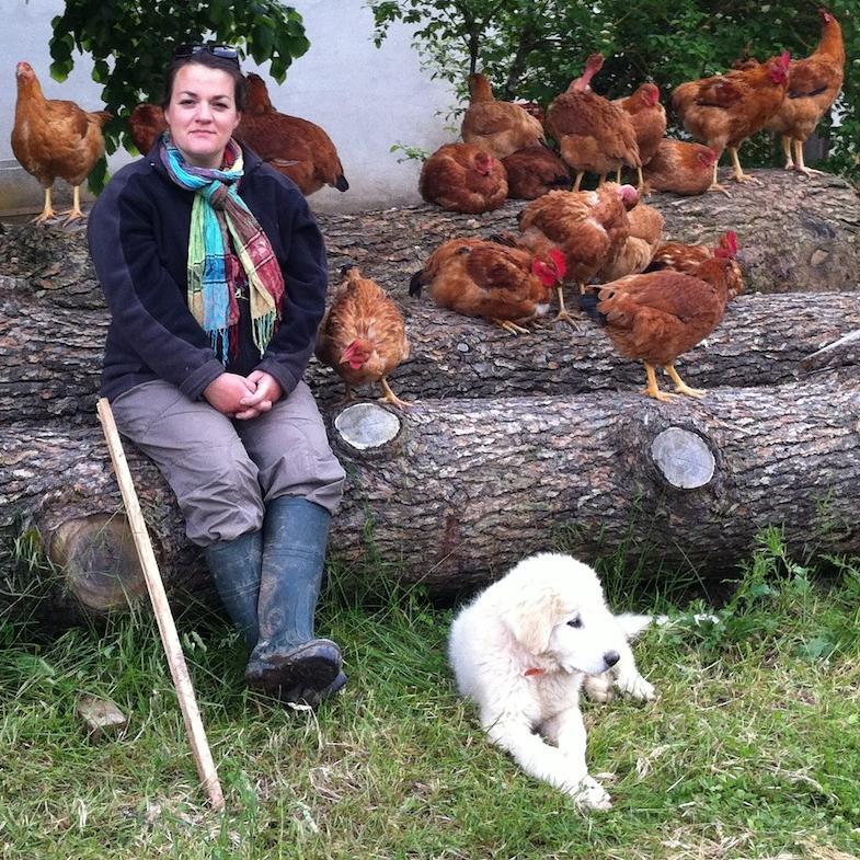 PouletsdeCeline's profile picture. 