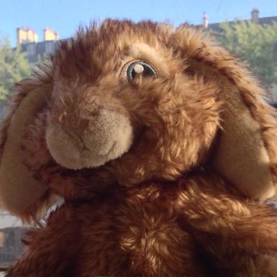 Game Designer d'Escape Game. Auteur de plusieurs livres jeux : Le Manoir maudit / Le dernier casse / Enquête à Baker Street. Game Master.