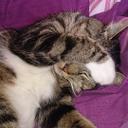 maria bunker - @bunkermaria - Twitter