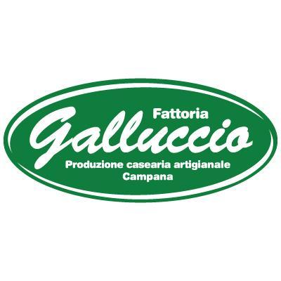 #FattoriaGalluccio: produzione e vendita di #mozzarella, #formaggi, #olio, #vino, #salumi e #pasta artigianale. Servizio clienti: info@fattoriagalluccio.it