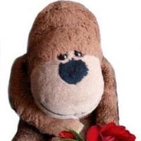 guygorilla (@guygorillacity) 's Twitter Profile