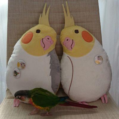 青年よ大志を抱け!!
