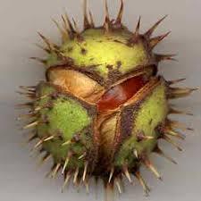 kurrrrriiiii's profile picture. スカウト会社と飲食店コンサル会社の代表やってます。ＡＶ.キャバ.セクキャバ.デリヘル.箱ヘル.ソープ.出稼ぎ（北海道から沖縄まで）.チャットなどの風俗全般と.モデル.グラビア.ボーイ.ホスト.スカウト.キャッチ.居酒屋キャッチ.などやりたい方、興味ある方はなんでも相談してください。今ならなんと、入店祝いも用意してます。