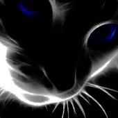 amrhmmad708's profile picture. 