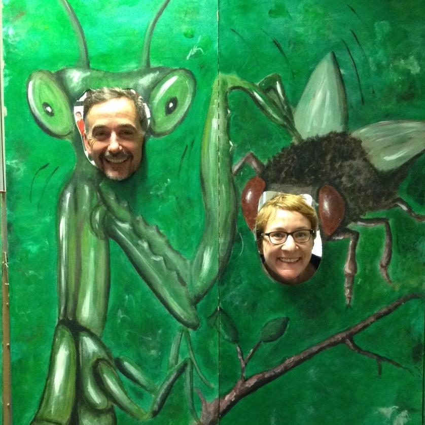 Public health entomologist Steve Lindsay and colleagues develop tools to combat vector-borne diseases, including #malaria
