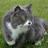 sitursofur1971's profile image