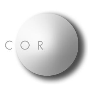 CorVisSo's profile picture. 